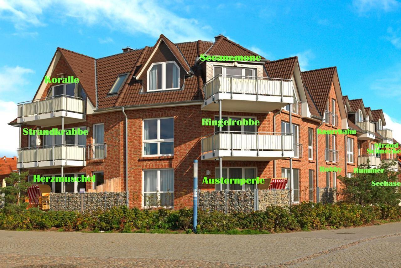 Haus Südwester Koralle Poel Exterior foto